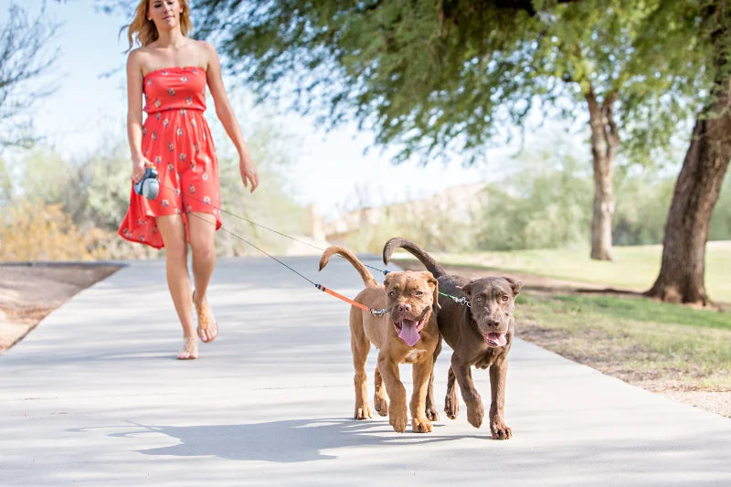 Dual Retractable Dog Leash with LED