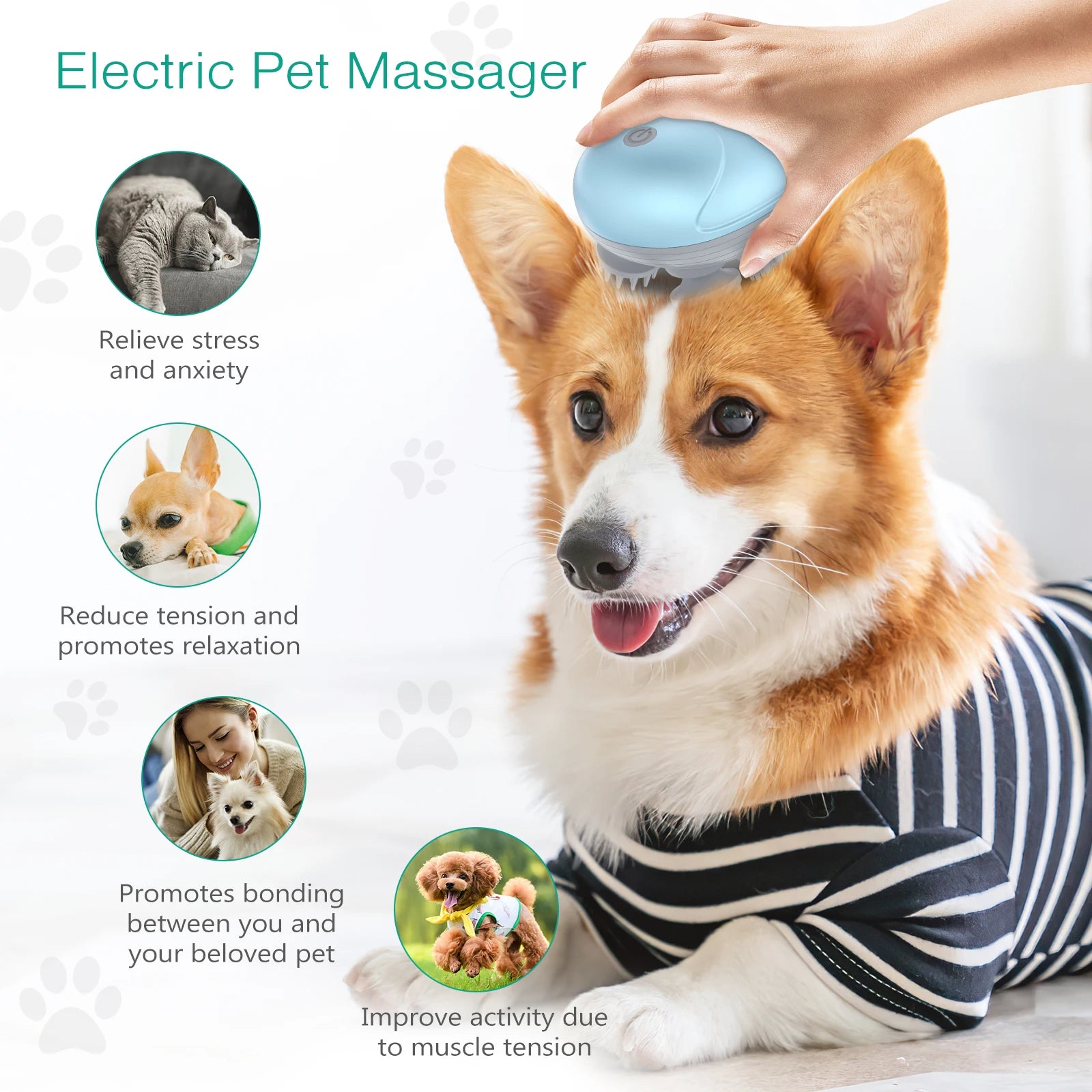 ORIA Electric Handheld Pet Massager – Relaxation & Hair Growth for Cats & Dogs